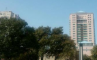 ���ܱ������������붬 ���ܳ�����»����10��